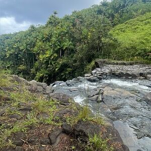 Meet your Posher, Kymber